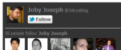 WP Twitter Mega Fan Box Widget screenshot 3