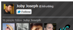 WP Twitter Mega Fan Box Widget screenshot 4
