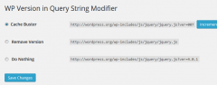 WP Version in Query String Modifier screenshot 1