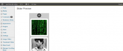 wordpress vertical image slider plugin screenshot 3