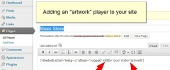 WP VibeDeck screenshot 7