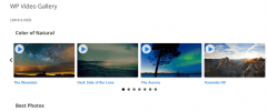 WP Video Gallery screenshot 1