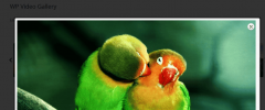 WP Video Gallery screenshot 3