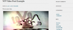 WP Video Posts screenshot 1