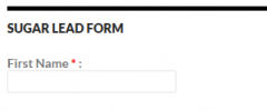 WordPress to SugarCRM Lead screenshot 5