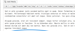 WordPress Widgets Shortcode screenshot 2