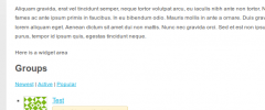 WordPress Widgets Shortcode screenshot 3