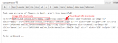 WP2Cloud screenshot 2