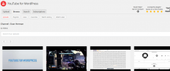 YouTube for WordPress screenshot 10