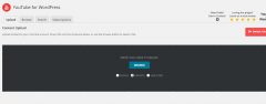YouTube for WordPress screenshot 2