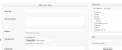 Wordpress Video Tube Plugin screenshot 2