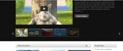 Wordpress Video Tube Plugin screenshot 4