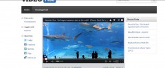 Wordpress Video Tube Plugin screenshot 5