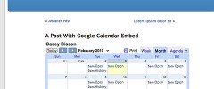 Google Calendar Widget & Short Code screenshot 6