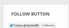 WPLOOK Twitter Follow Button (new) screenshot 2