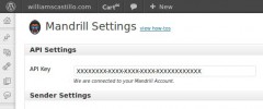 wpMandrill screenshot 1