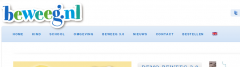 WPML flag in menu screenshot 1