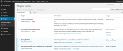 WPMU Plugin Stats screenshot 1