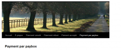 wppaybox screenshot 9
