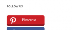 WPsite Follow Us Badges screenshot 3