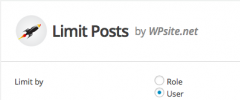 WPsite Limit Posts screenshot 1
