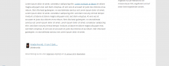 Yet Another Amazon Wordpress Plugin Lite screenshot 3