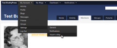 YD BuddyPress Feed Syndication screenshot 1
