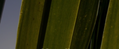 Zendy Lede screenshot 2